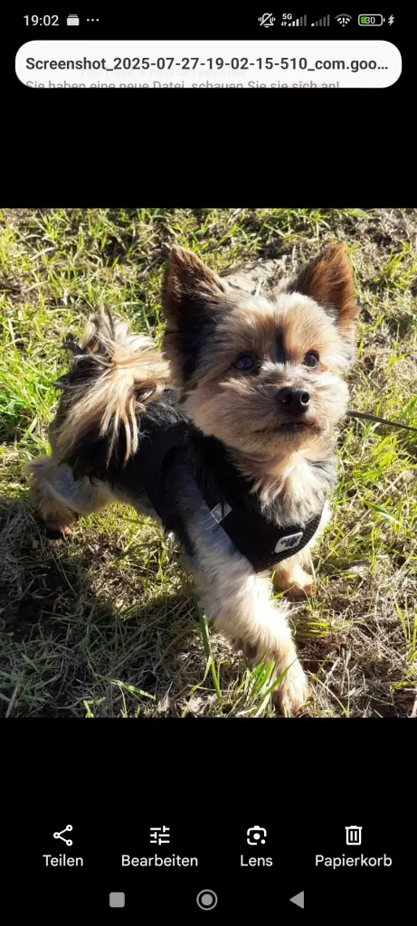 Du hast mich jeden Tag zum lachen gebracht