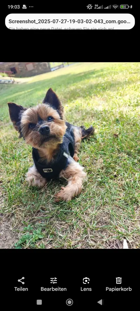 Du warst mein ein und alles