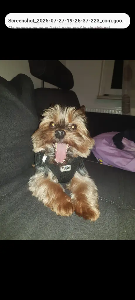 Jetzt hab ich keinen Grund mehr zu lachen