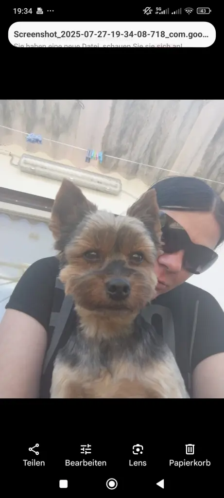 Komm doch Bitte zurück mein Freund