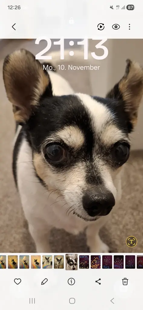 Andachtsbild von Dani mit Bella im Herzen ❤️