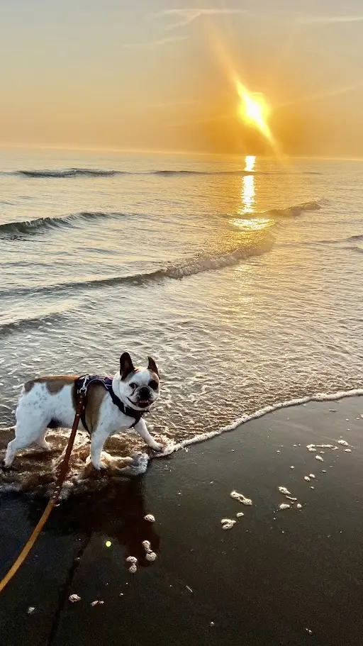 Unser Lieblingsort..