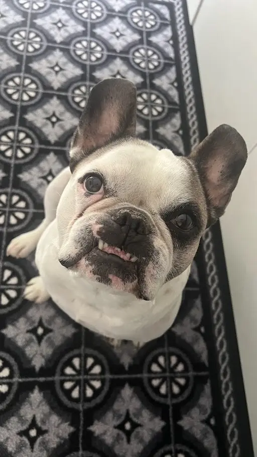 Lächle für Mama :-)