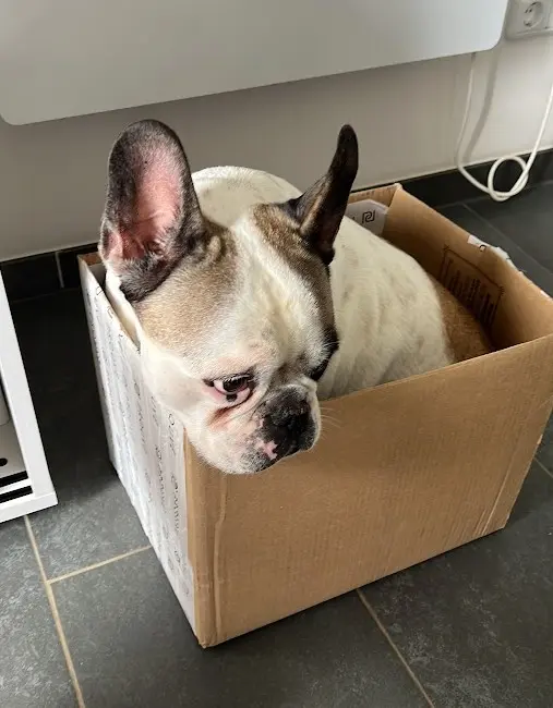 Immer diese Kisten.... :-)