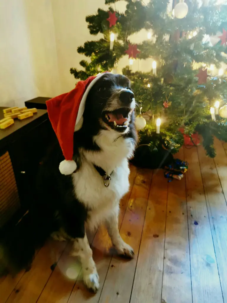 Andachtsbild von Irma (Irmgard)