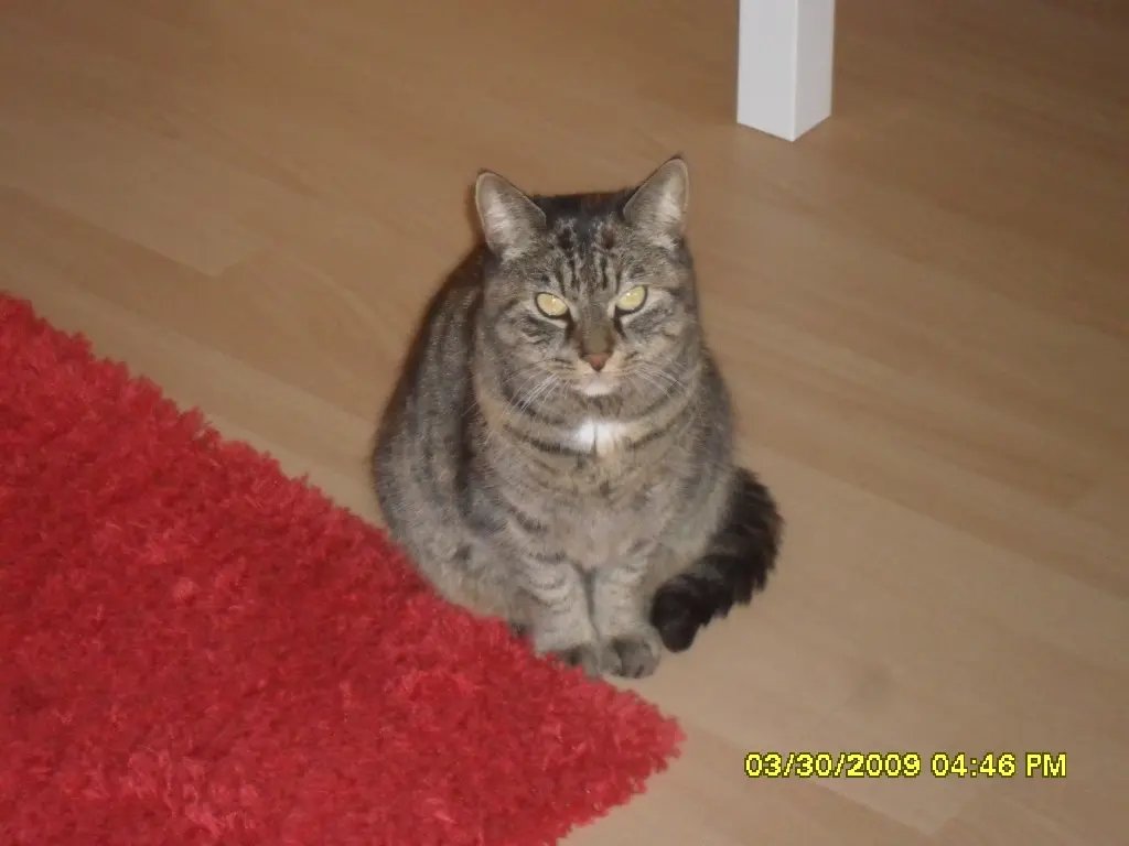 Condolence image of Karin