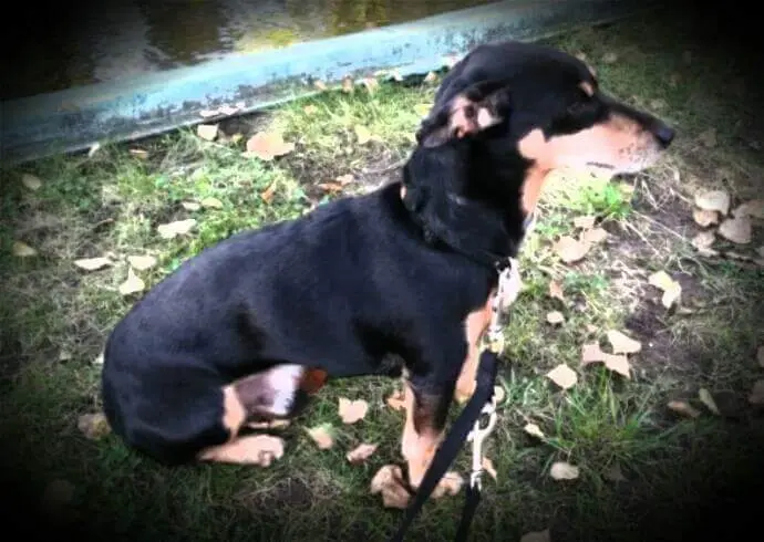 Condolence image of Annette mit Paul im Herzen 