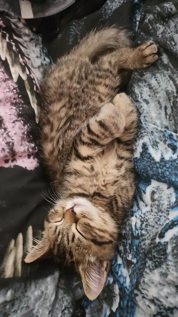 Kuscheln ab Tag 1