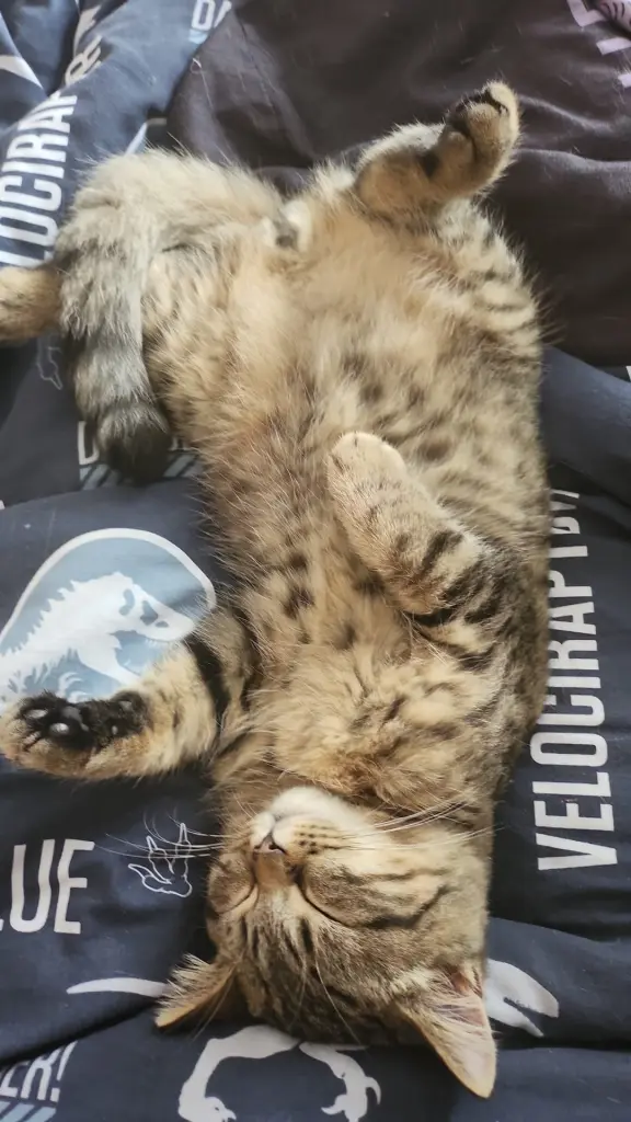 Kuschelst immer noch nach Monaten