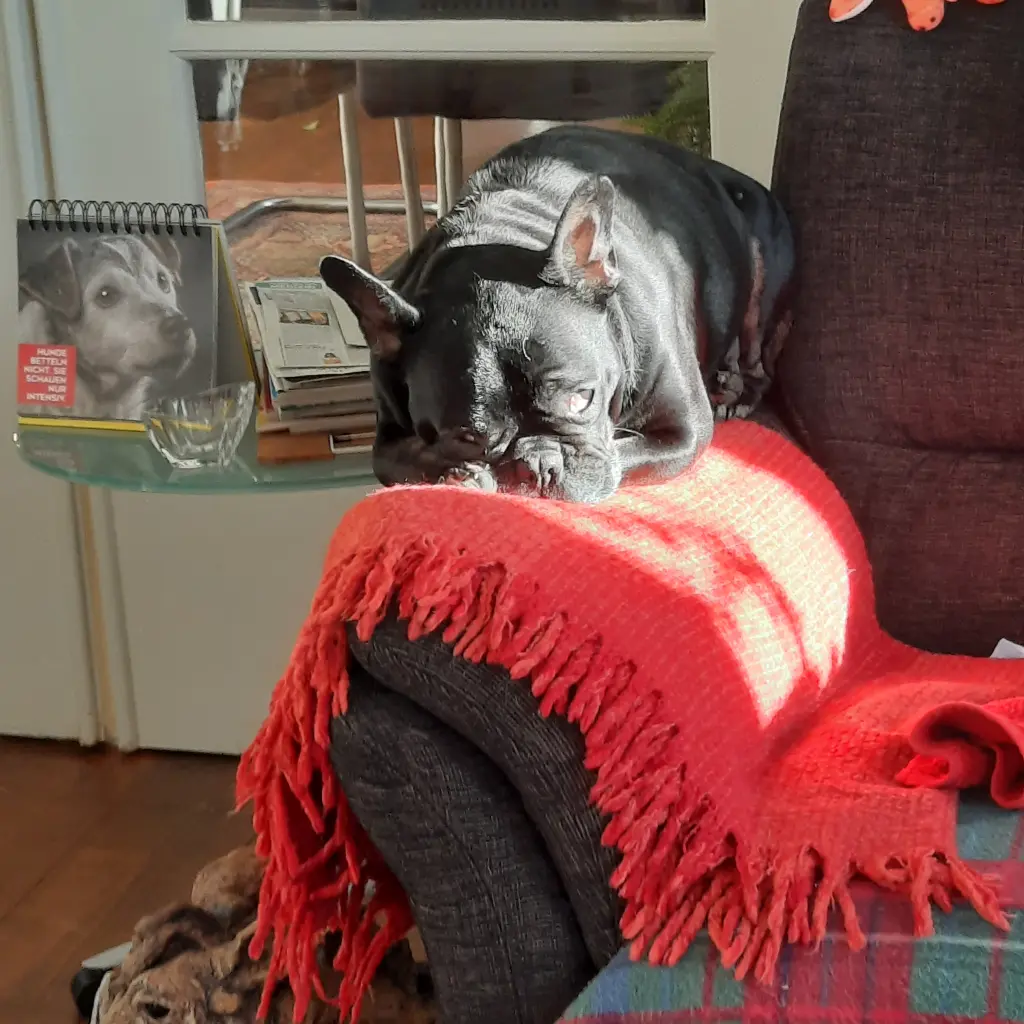 Sonnenanbeter