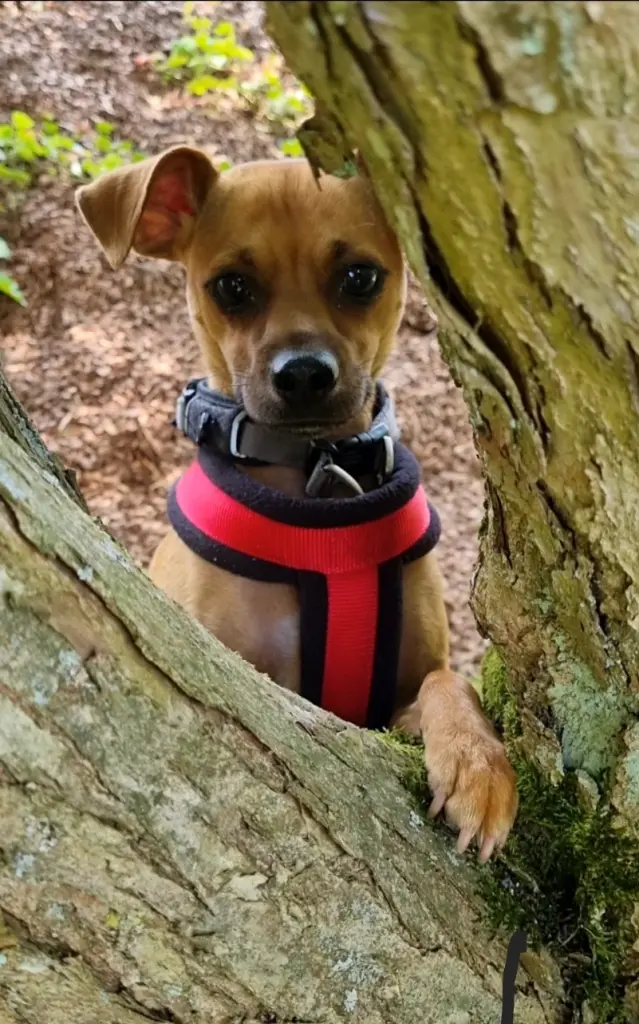 Andachtsbild von Dagmar Berthold