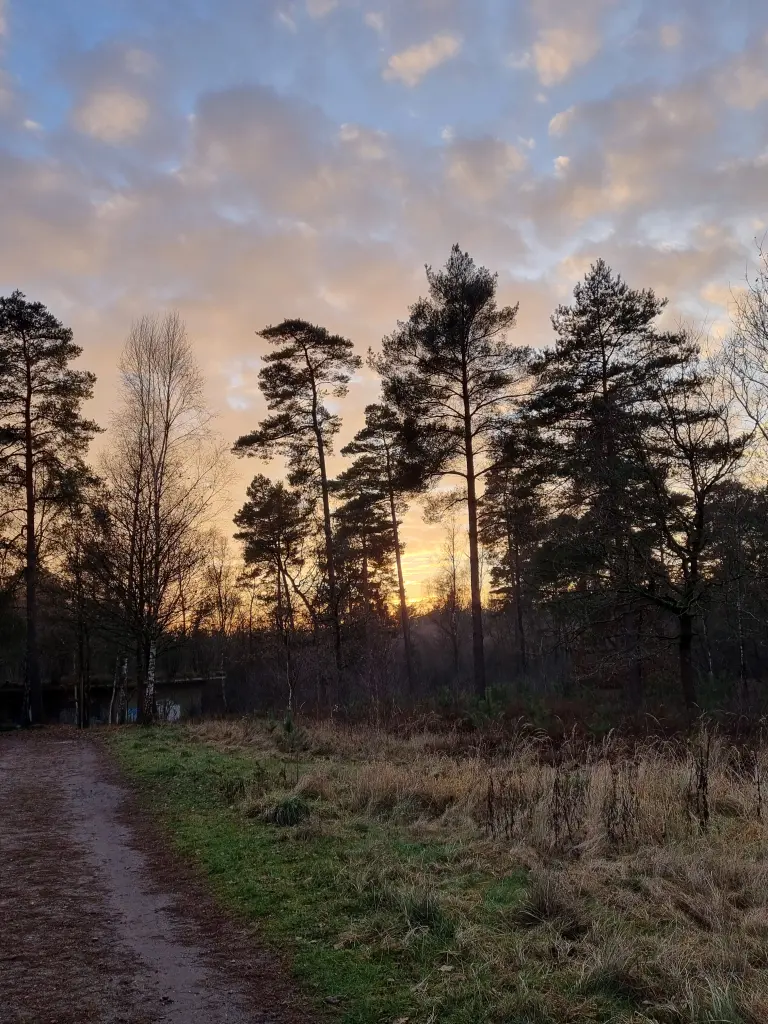 Andachtsbild von Dagmar