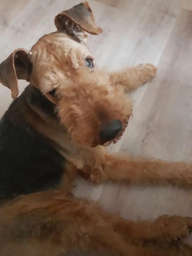 Condolence image of Silke