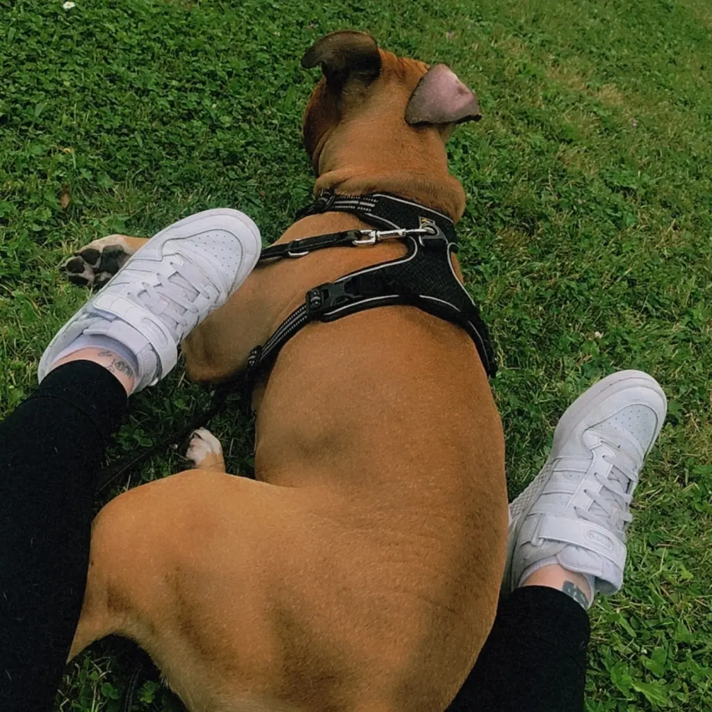 Andachtsbild von Specki Tante Jule