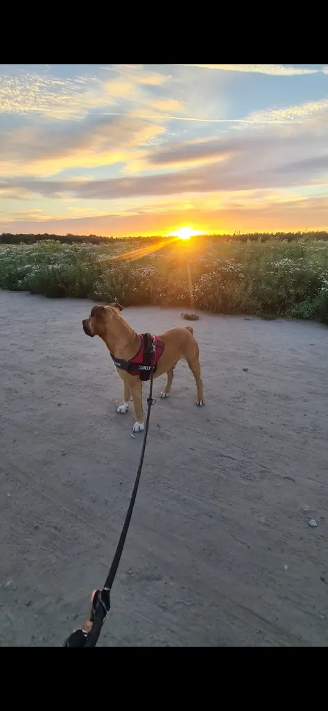 Andachtsbild von 👩👧