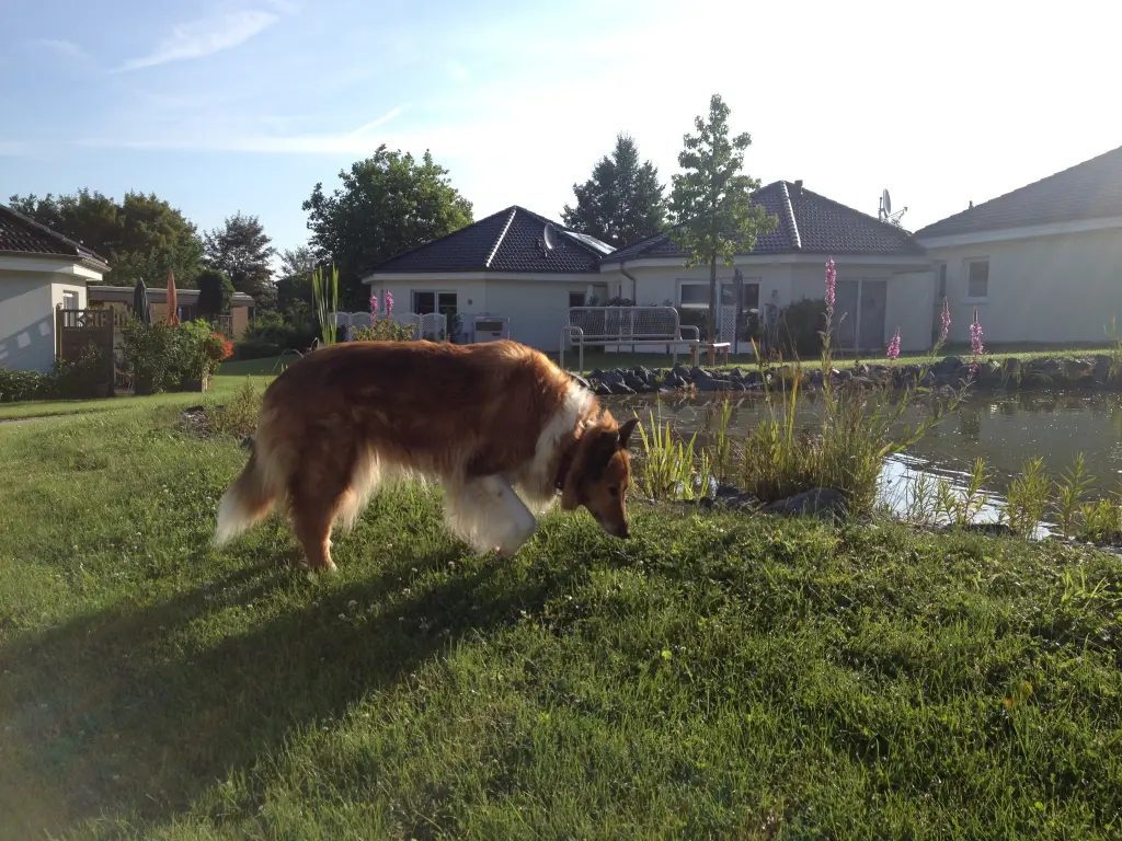 Condolence image of Katharina mit Mele im Herzen