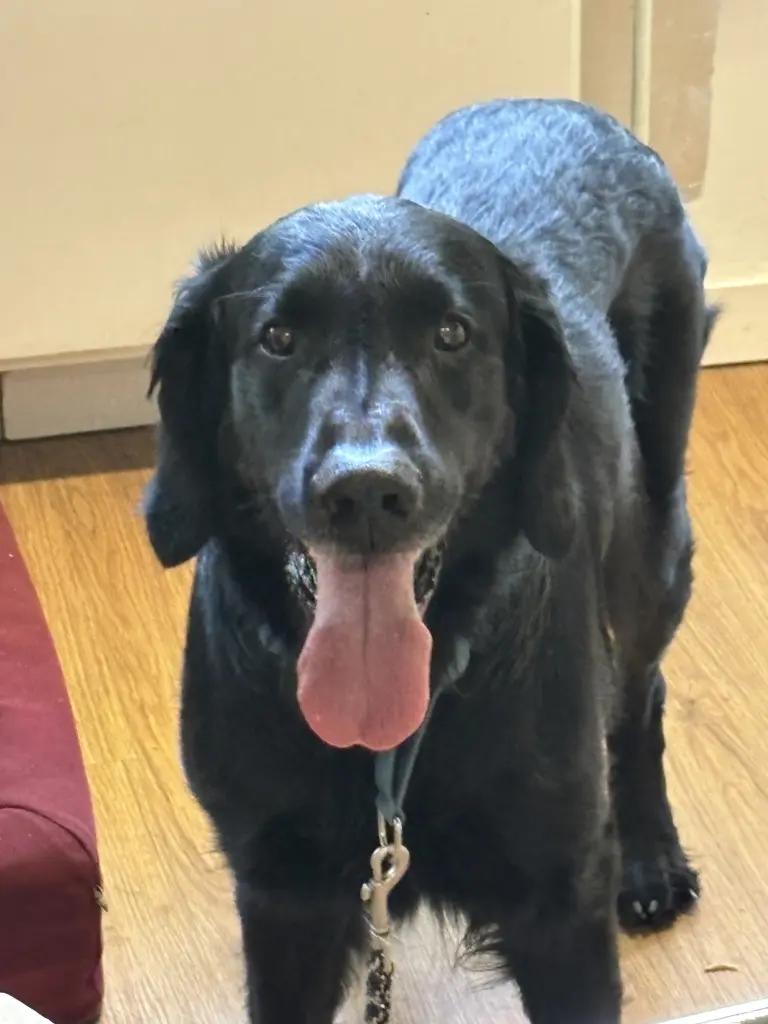 Andachtsbild von Rebecca Rahel K