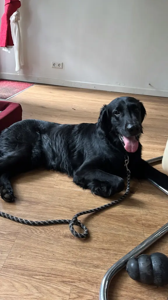 Andachtsbild von Charly