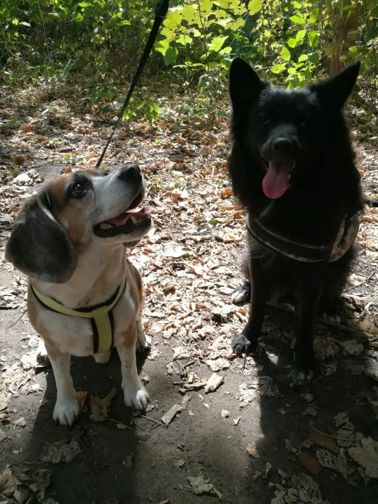 Andachtsbild von Kirstin Schmieden