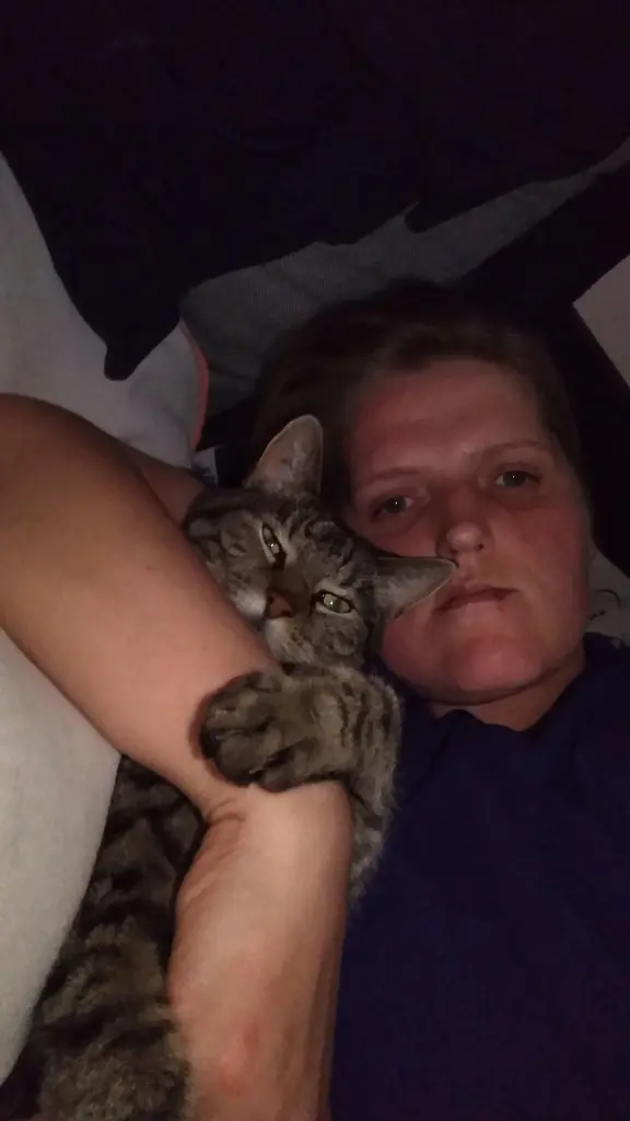 Image from Pillepupp