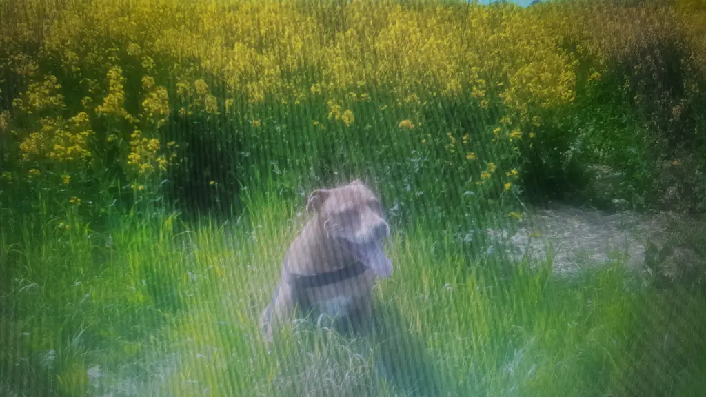 Condolence image of Manu u.Pascal mit Louisa im Herzen gestorben 7.2.18