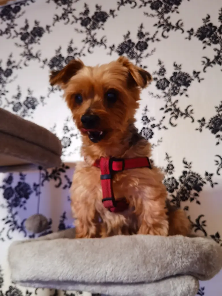 Andachtsbild von Wenke Mauritz