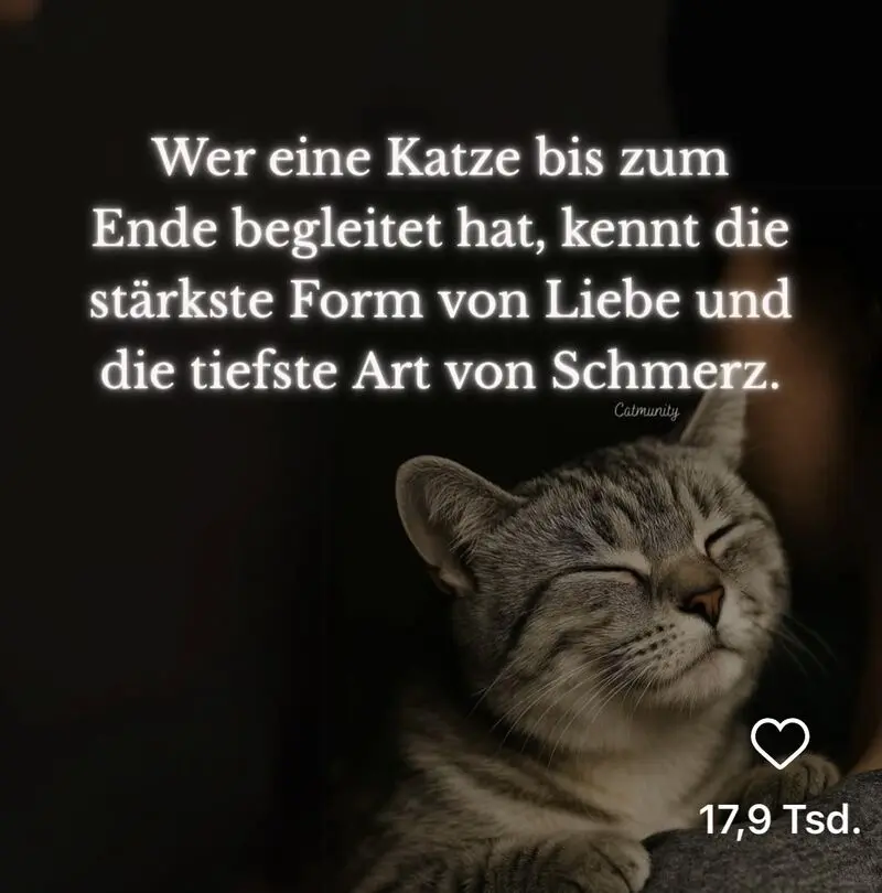 Condolence image of Ingrid mit Vini im Herzen