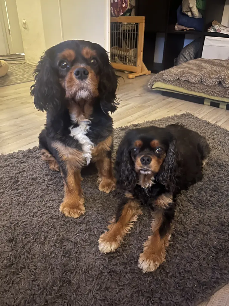 Badou mit seiner Freundin Shila ❤️