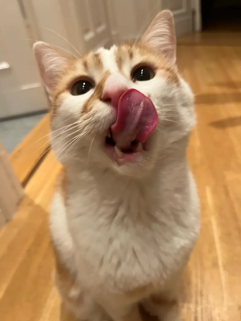 Andachtsbild von Angie Peckham