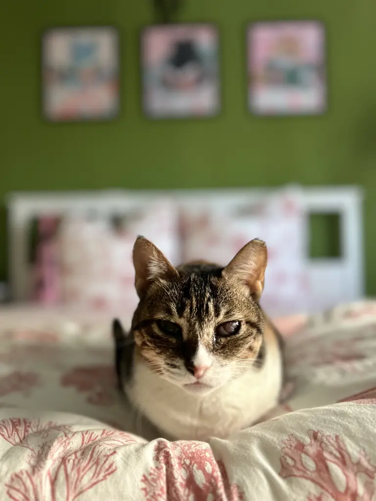 Im Bett ist es am schönsten…