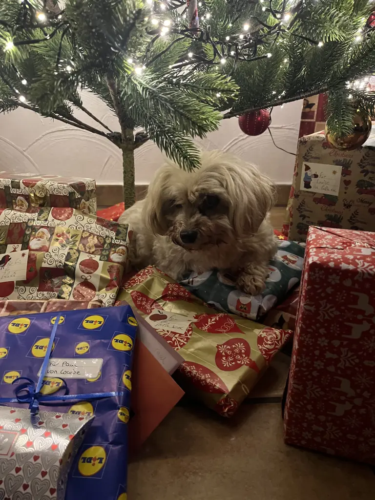 Andachtsbild von Denise