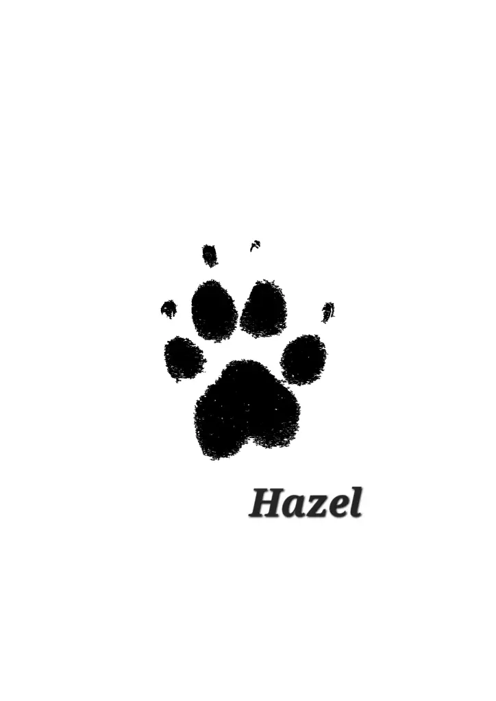 Bild von Hazel