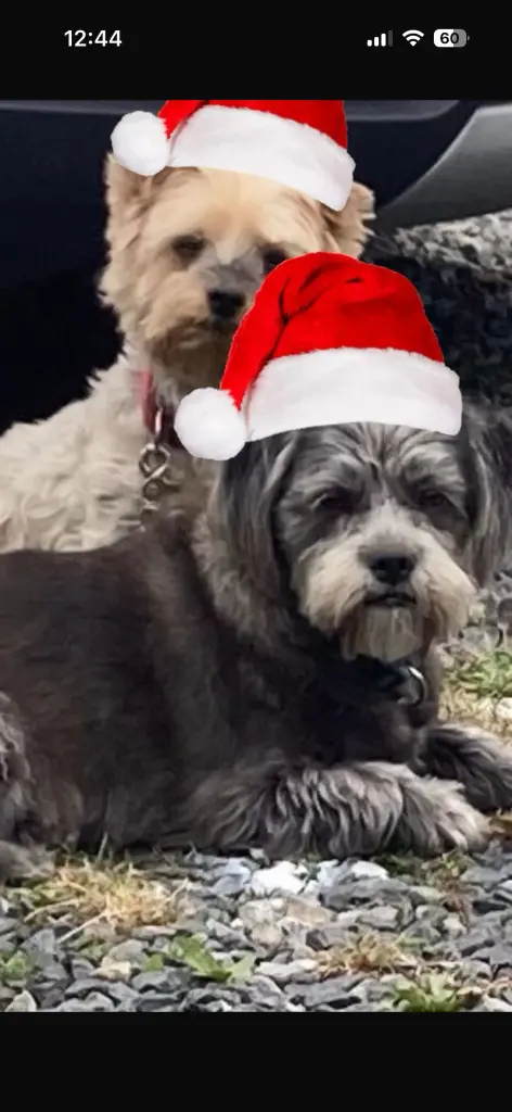 Andachtsbild von Marion Schreiber