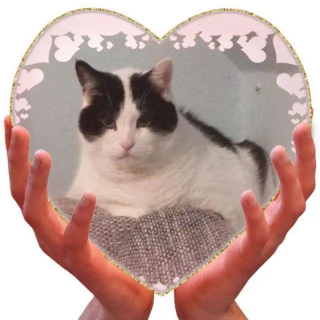 Condolence image of Lian Hauser