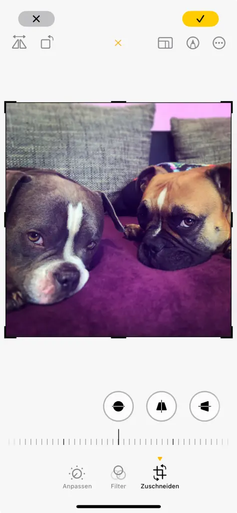 Andachtsbild von Nadien