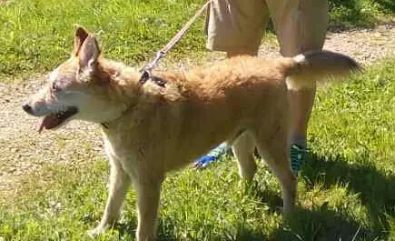 Condolence image of Rita