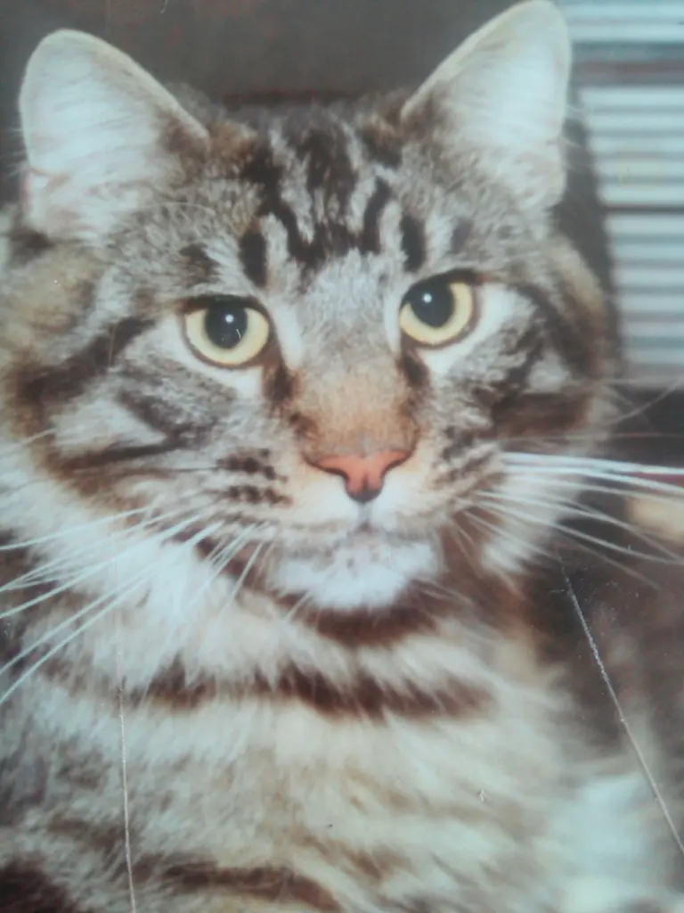 Condolence image of Ragna-Lena