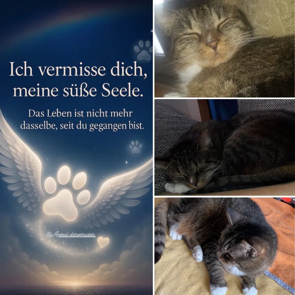 Andachtsbild von Steffy