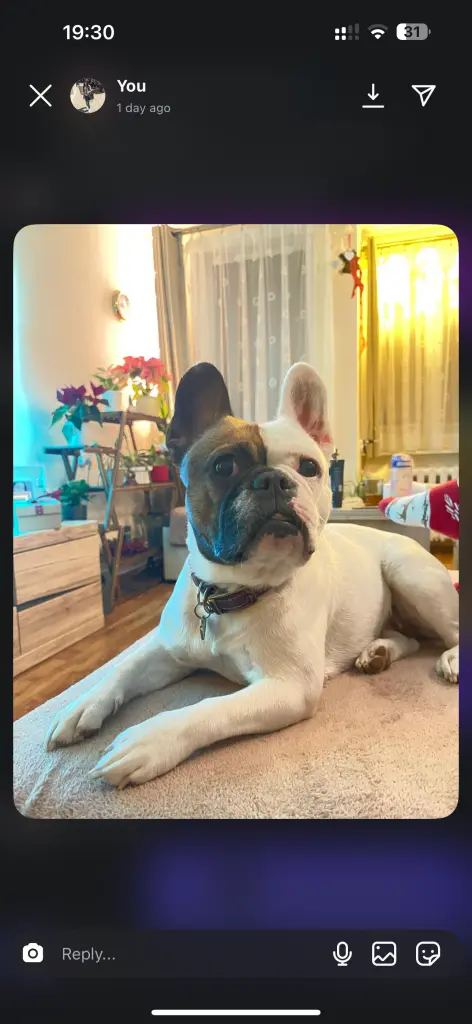 Andachtsbild von Anna