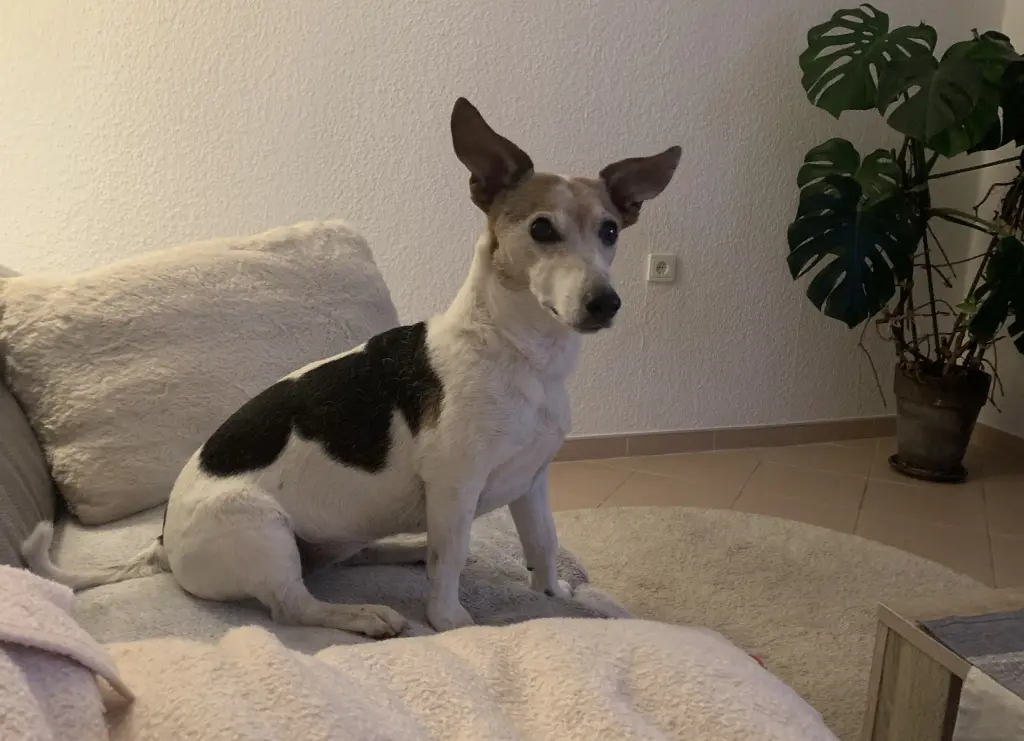 Andachtsbild von Mona mit Lina im ♥️