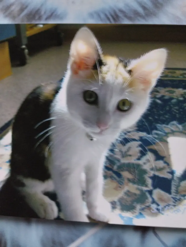 Condolence image of Kathrin