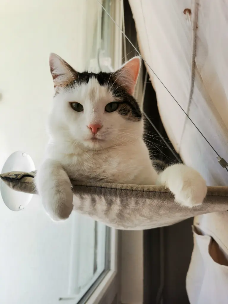 Bram in unserer ersten eigenen Wohnung