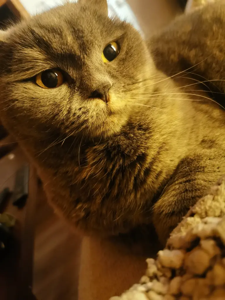 Andachtsbild von Sandra