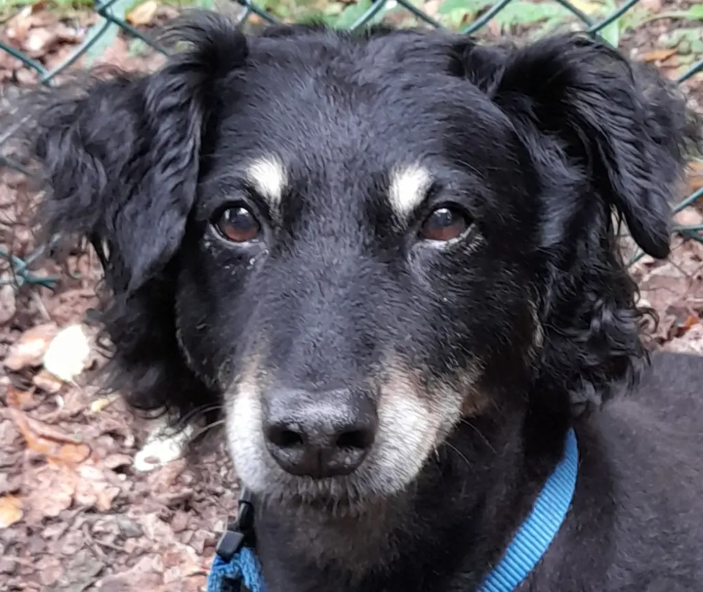 Andachtsbild von Sigrid Dallmann