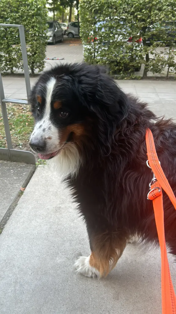 Andachtsbild von Alexandra Böttcher