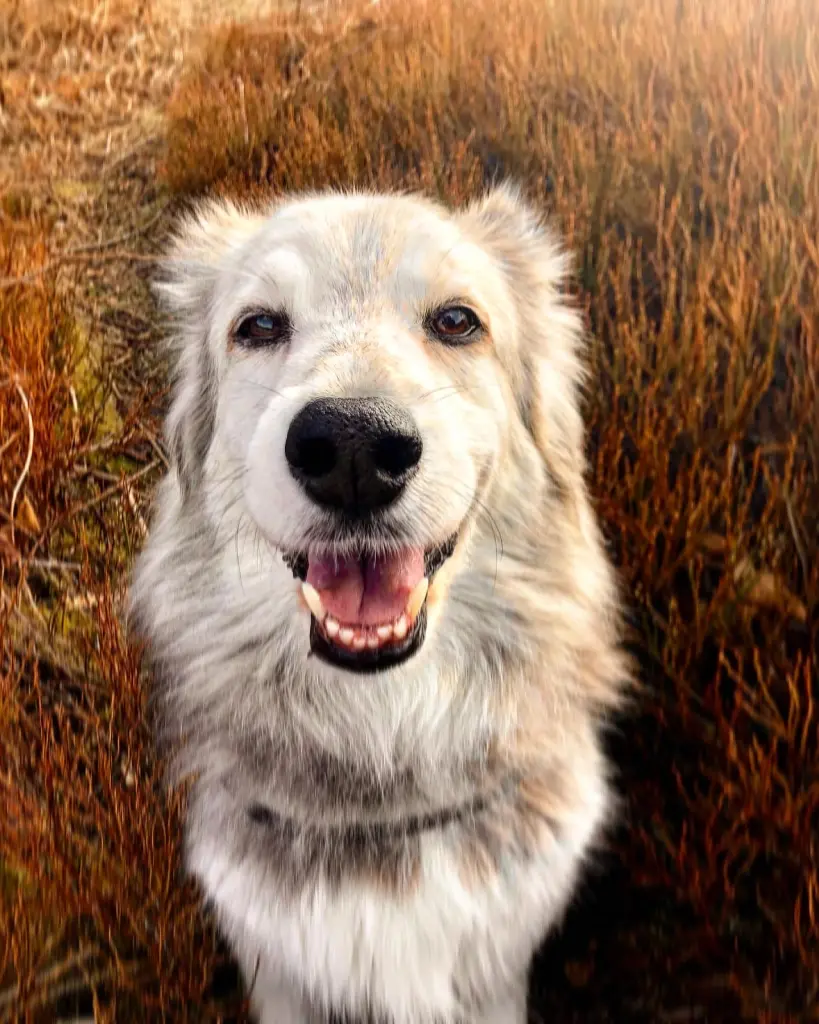 Mir fehlt es jetzt schon unendlich mit dir im hohen Gras zu sitzen.