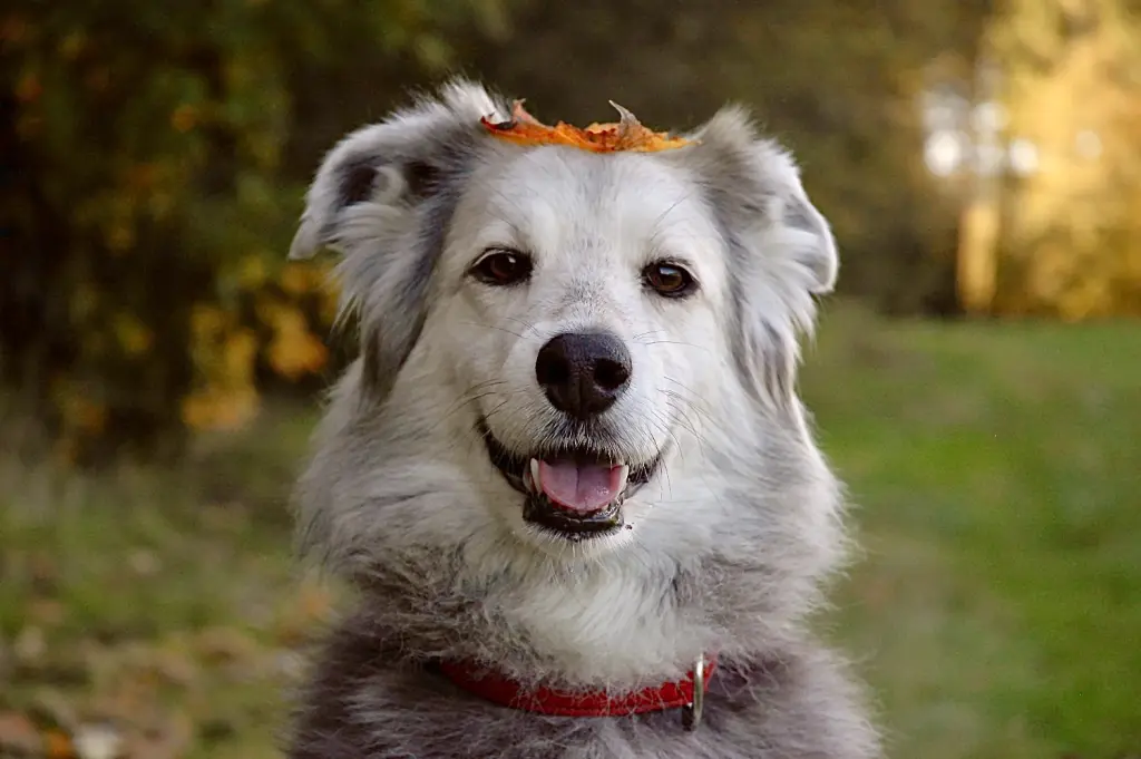 12 gemeinsame Jahre waren zu schnell vorbei.