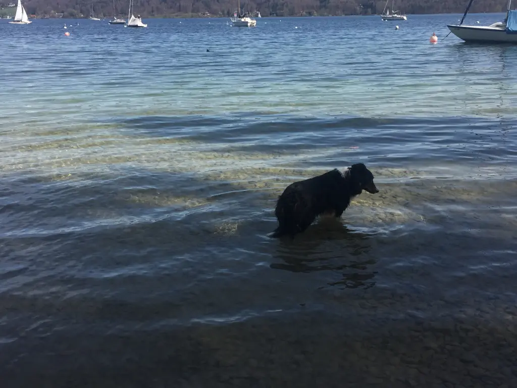 Du warst eine Wasserratte