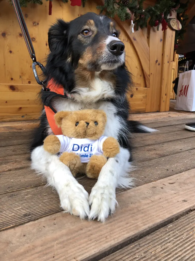 Du warst das perfekte Model