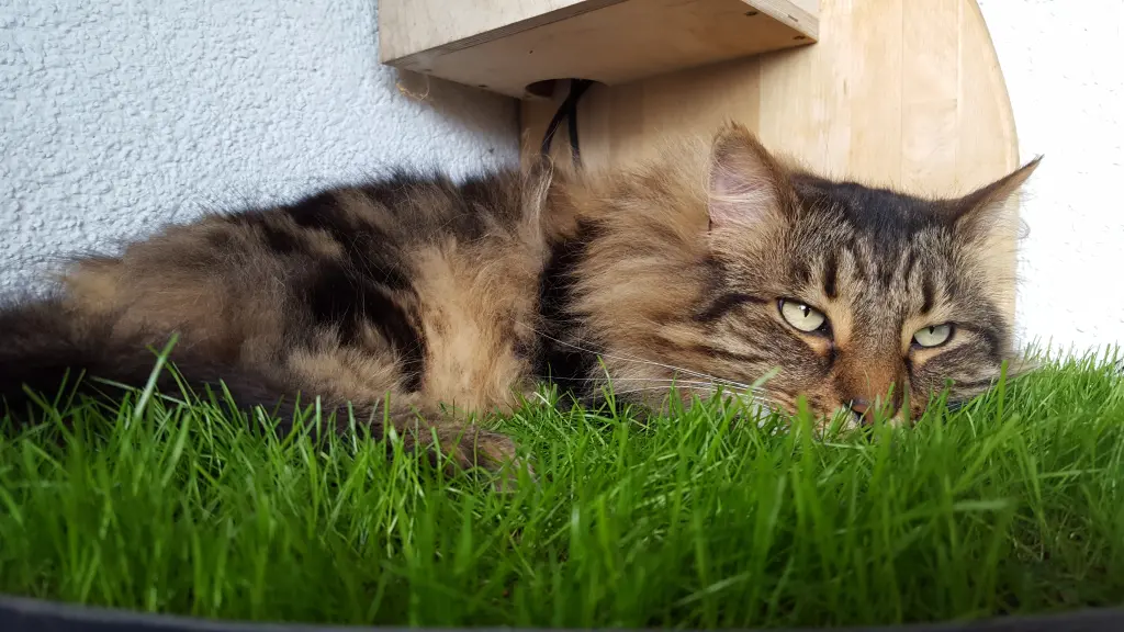 Andachtsbild von Birgitt